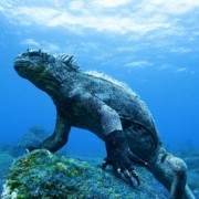 Islas Galápagos
