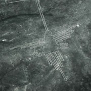Llegada a Paracas y Tour Líneas de Nazca