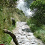 Camino Inca - Wayllabamba a Pacaymayo