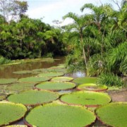 Llegada a Iquitos