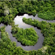 Tour Río Amazonas